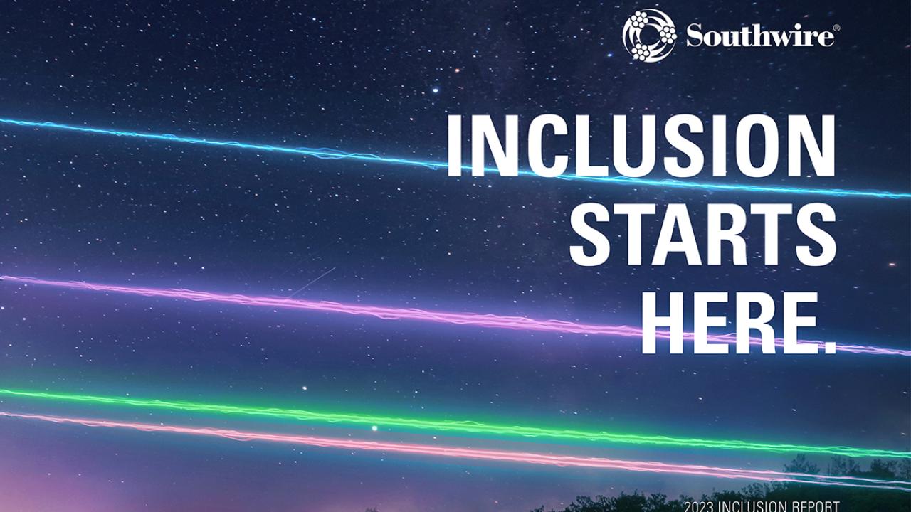 Inclusion Report Cover