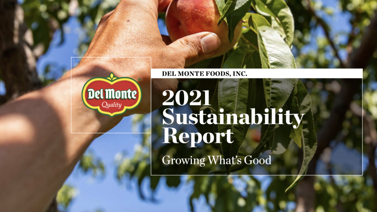 Del Monte Sustainability report. Hand picking a peach.