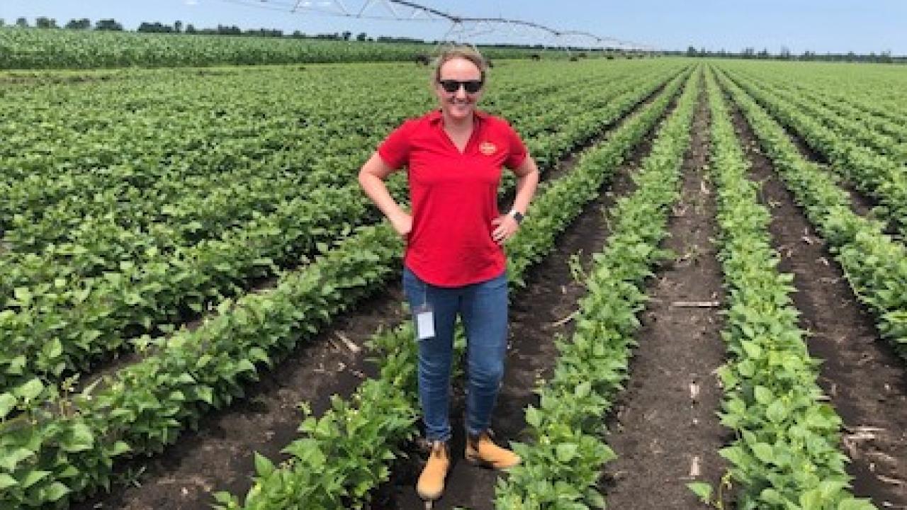 Molly Laverty, Del Monte Foods' Senior ESG Manager, in a field of the company's Blue Lake Green Beans