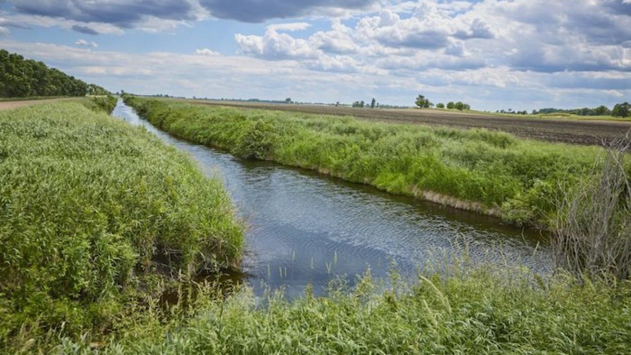 Waterway shown next to a green field.