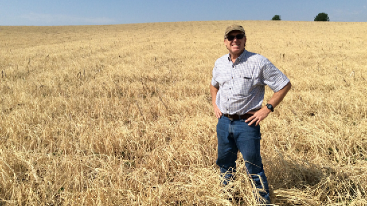 Dan Gillespie standing in field 