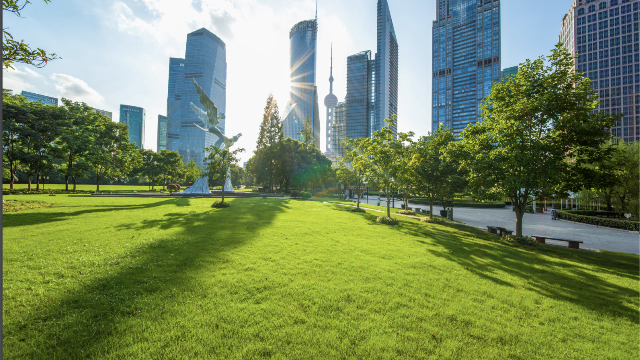 Sunny park surrounded by tall buildings