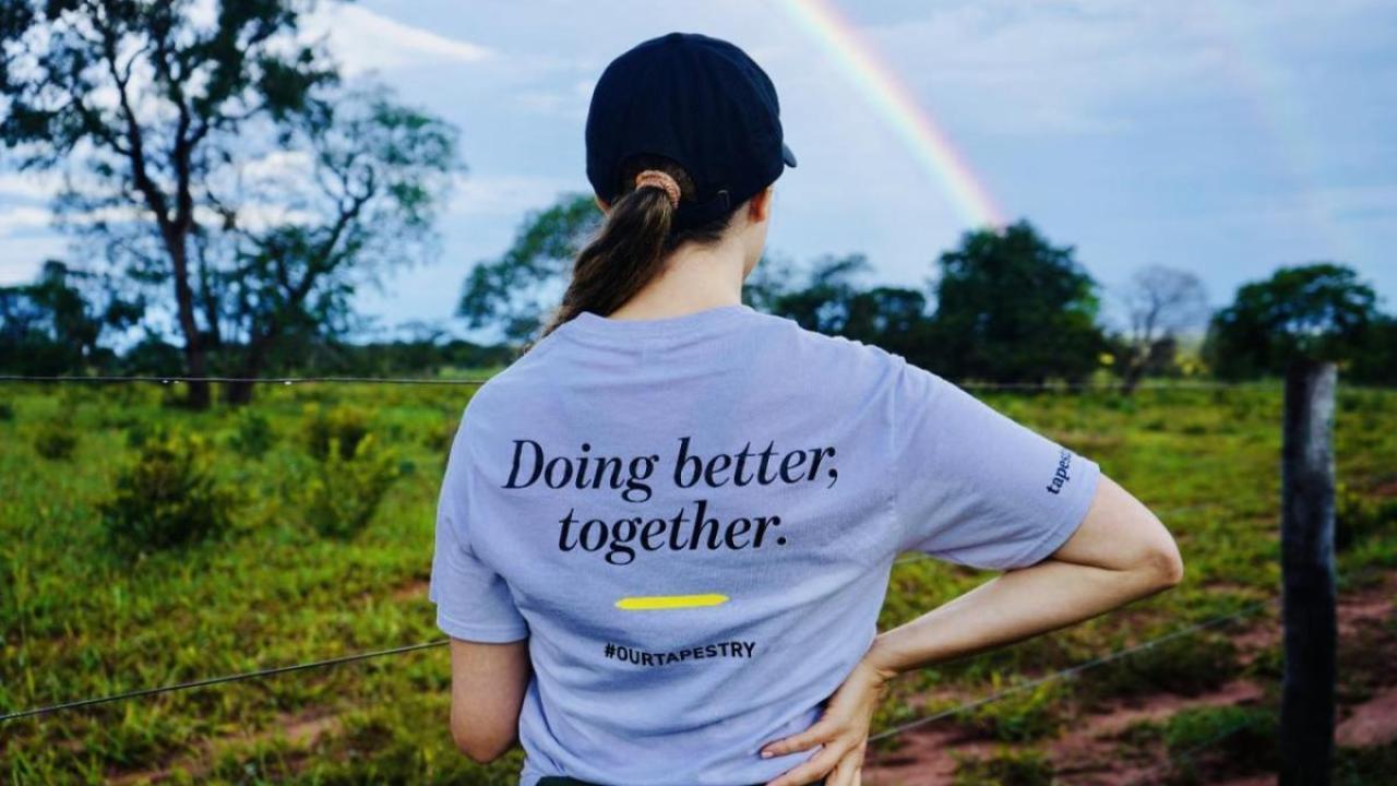 Tapestry Foundation in Brazil