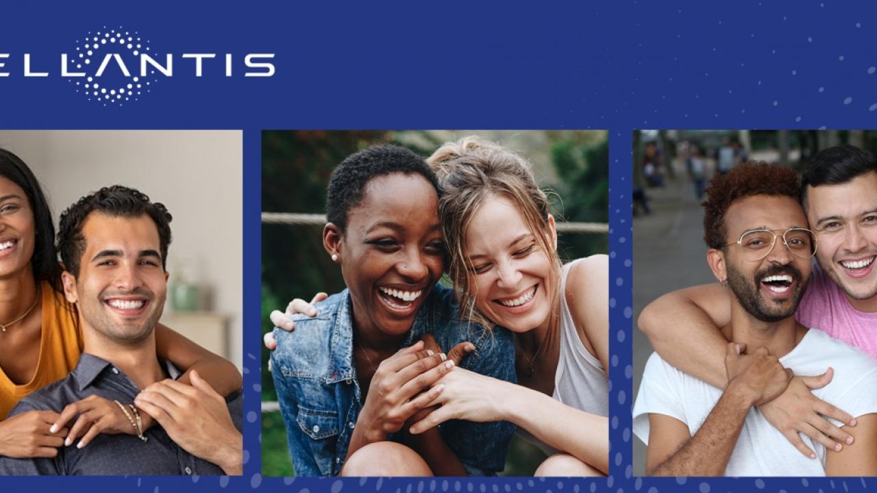 Collage of three images of Domestic Partners