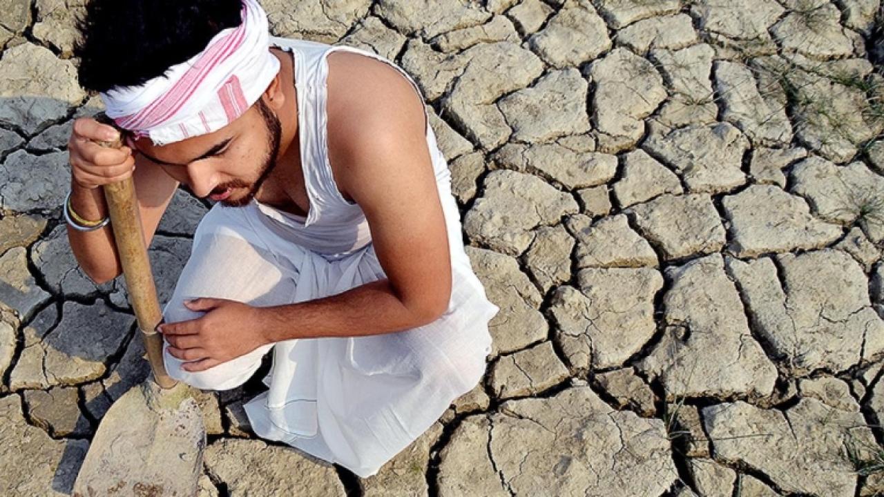 a person kneeling on cracked, dry soil