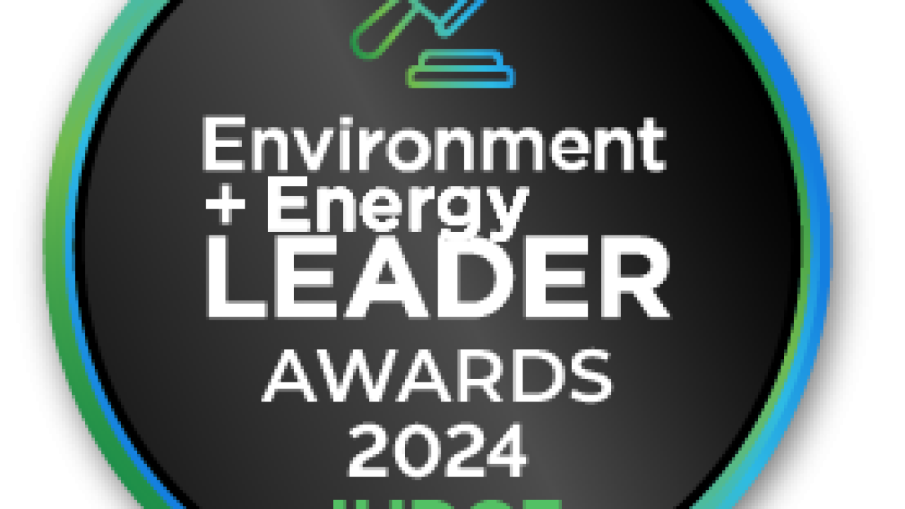 E+E Leader Awards Judges Badge
