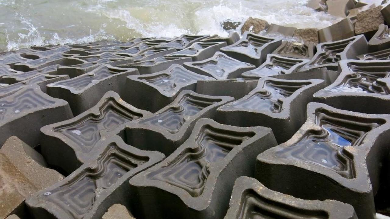 ECOncrete installation - 2020 Ray of Hope Prize Winner