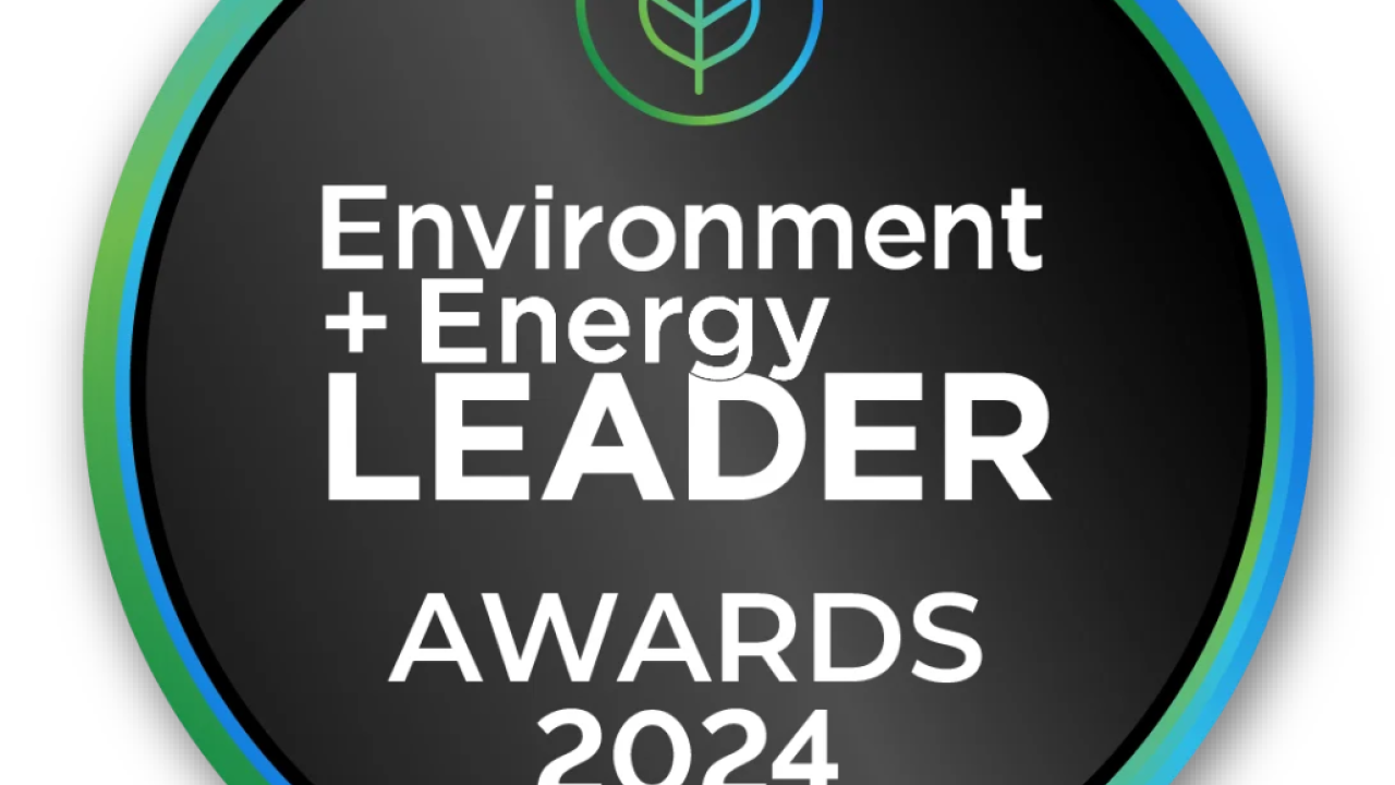 E+E Leader Awards Logo for 2024