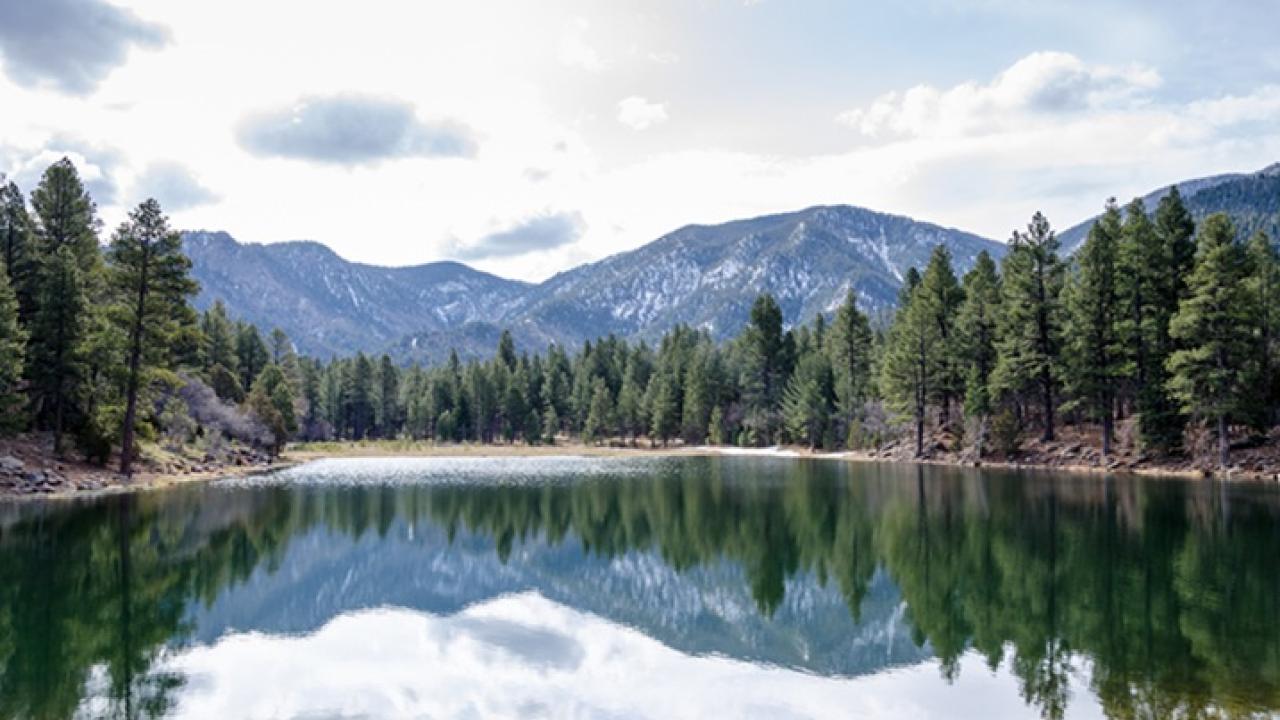 A mountainous landscape with trees and a lake in the foreground