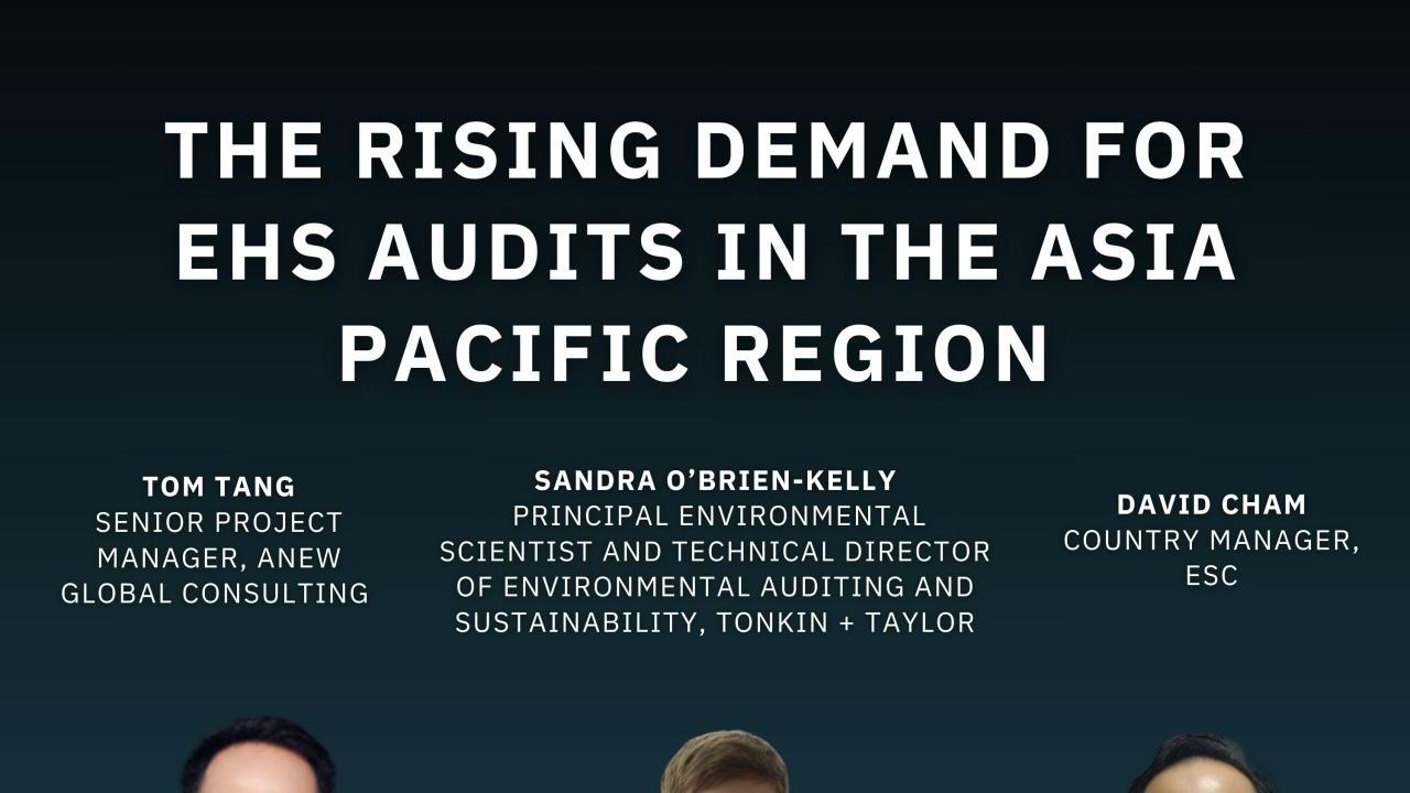 EHS Audits