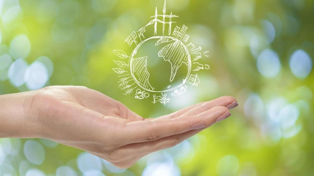 Environmental Consulting Firms