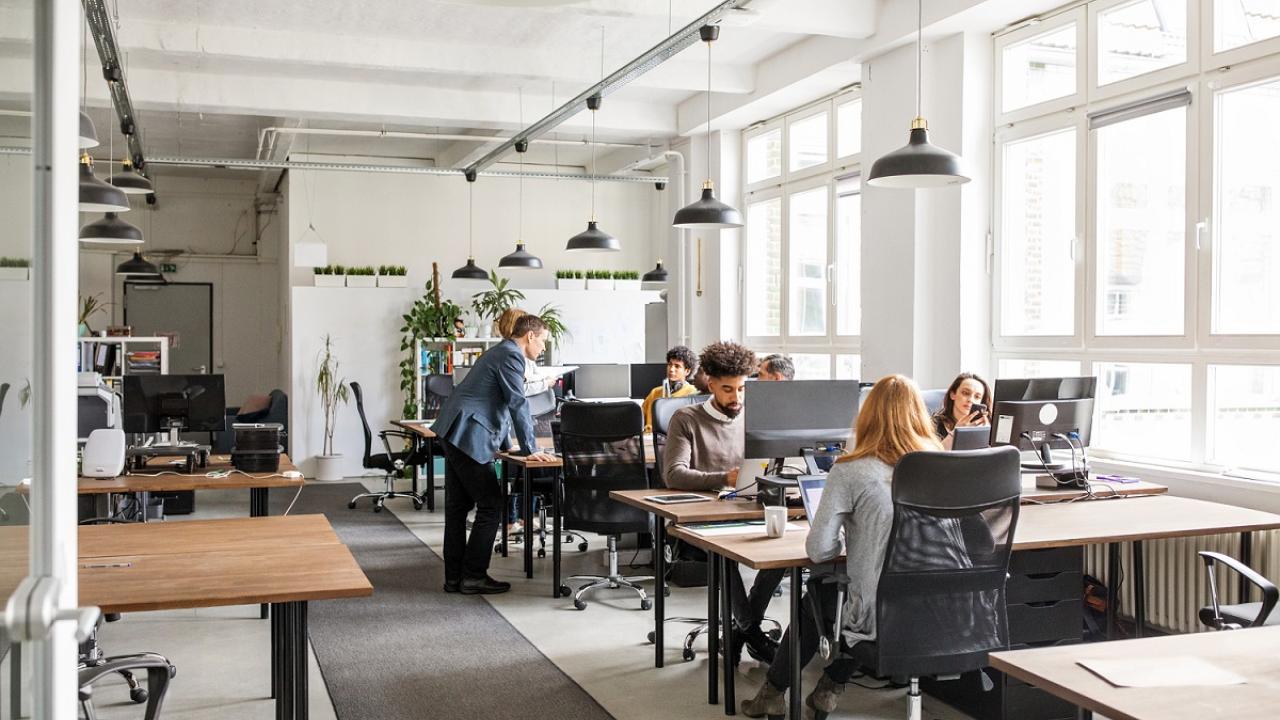 Startup Business