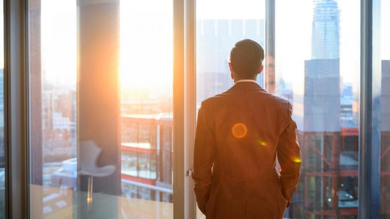 Technology Executive