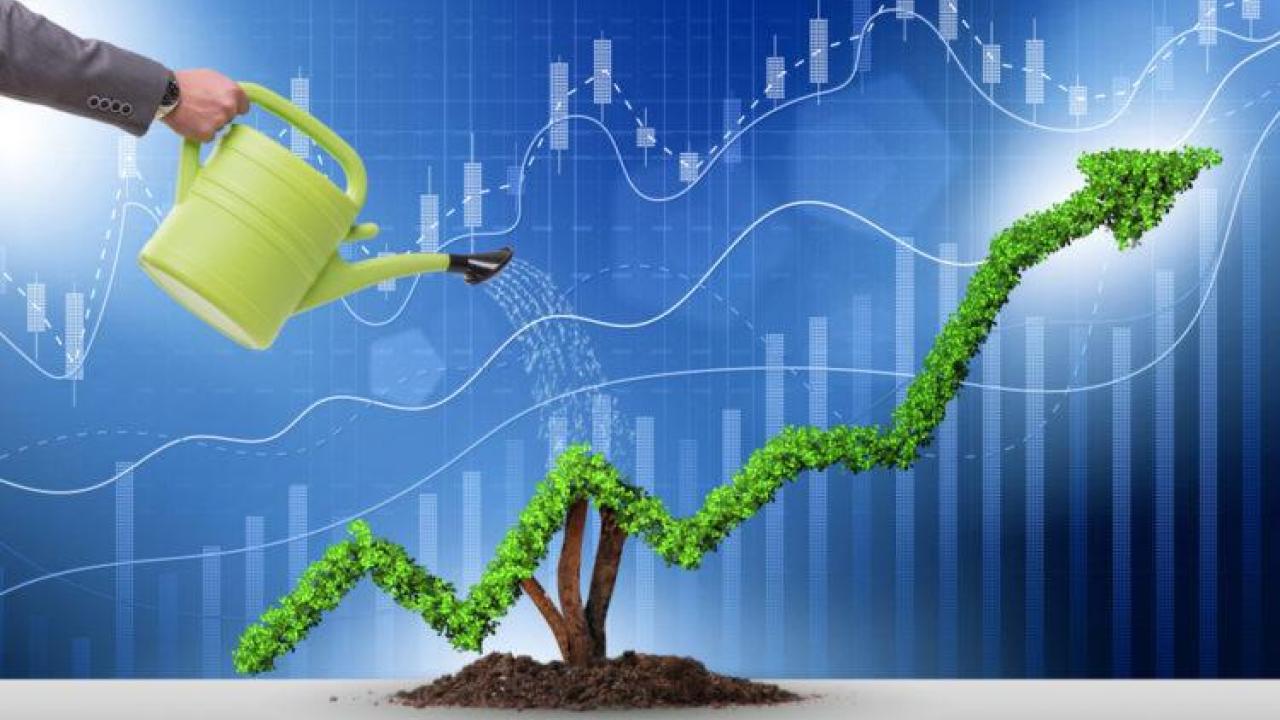 abstract image of person watering a plant whose leaves form a line graph trending up