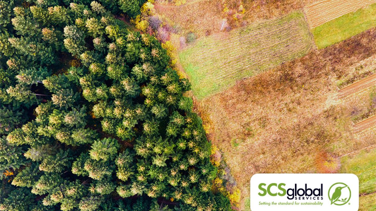 SCS Global Services - Forest image