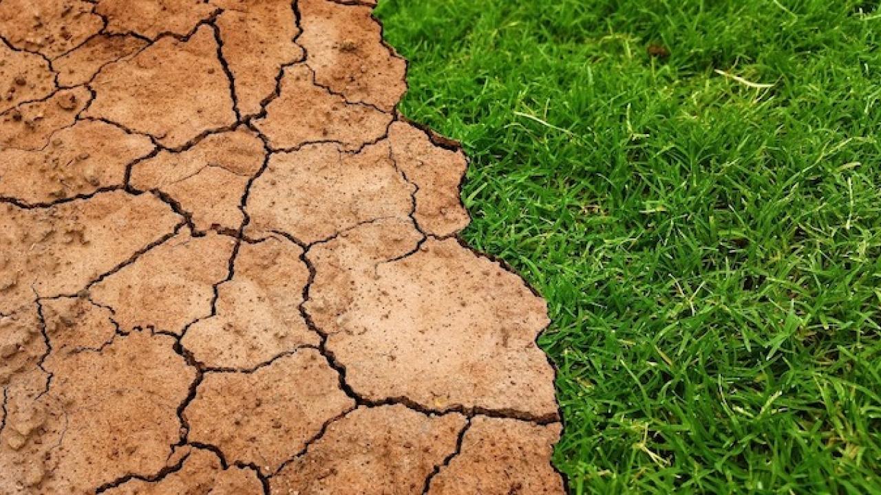 Dry, cracked earth next to green, lush grass.