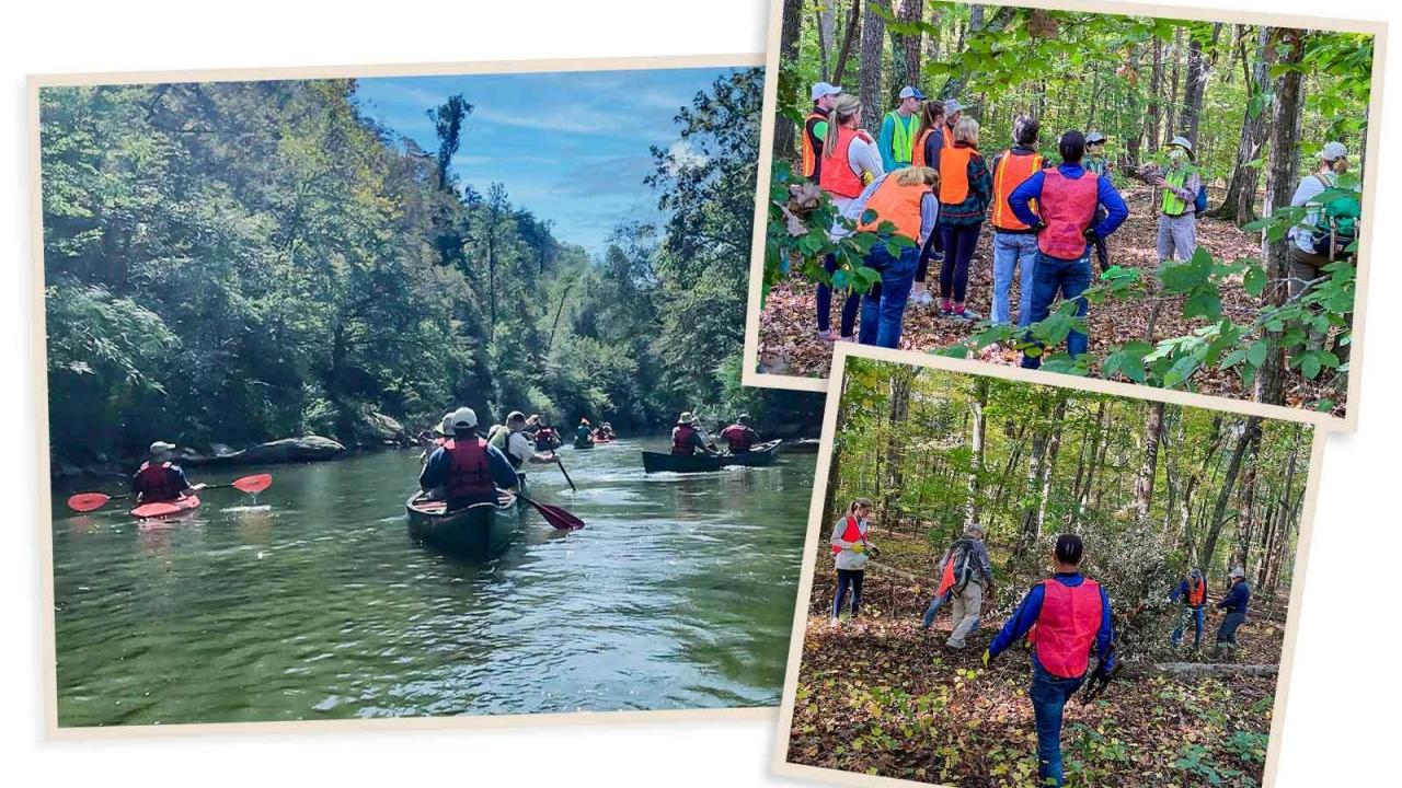 collage of people kayaking 