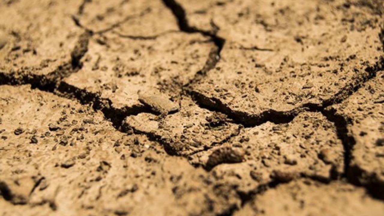Cracked and dry soil.
