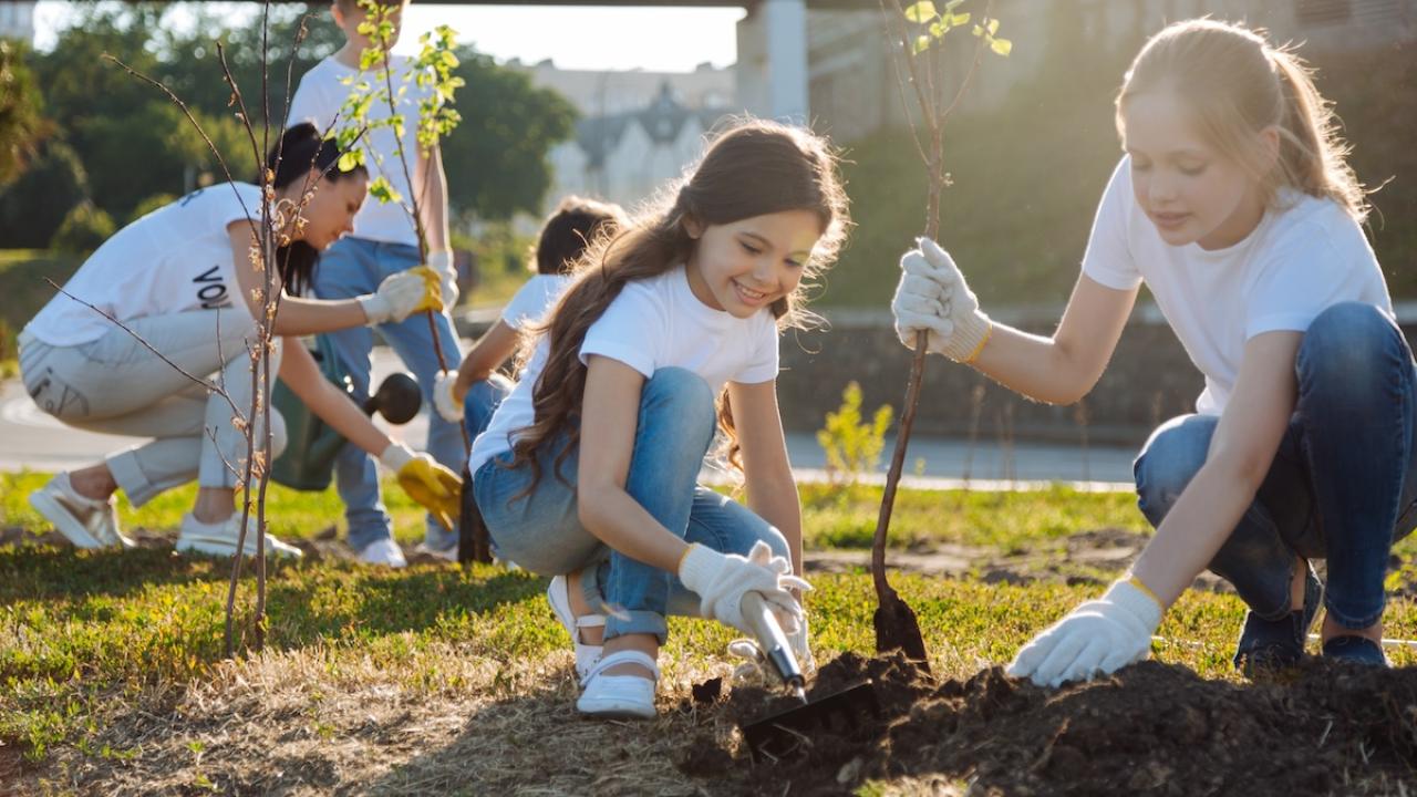 people planting plants
