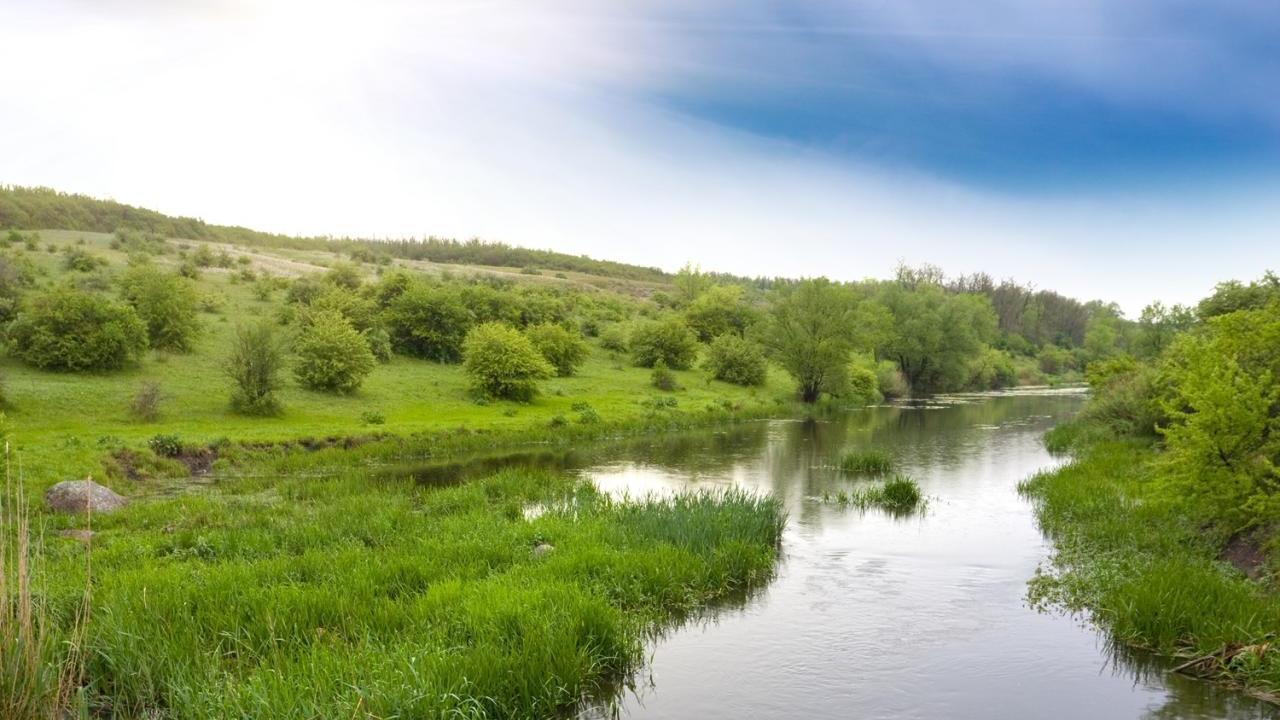 Wetland
