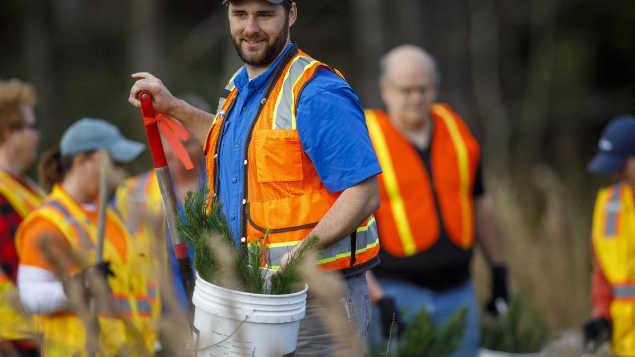 Rayonier employee planting 