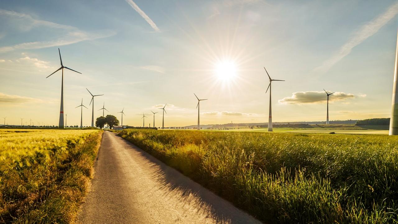 Wind Farm
