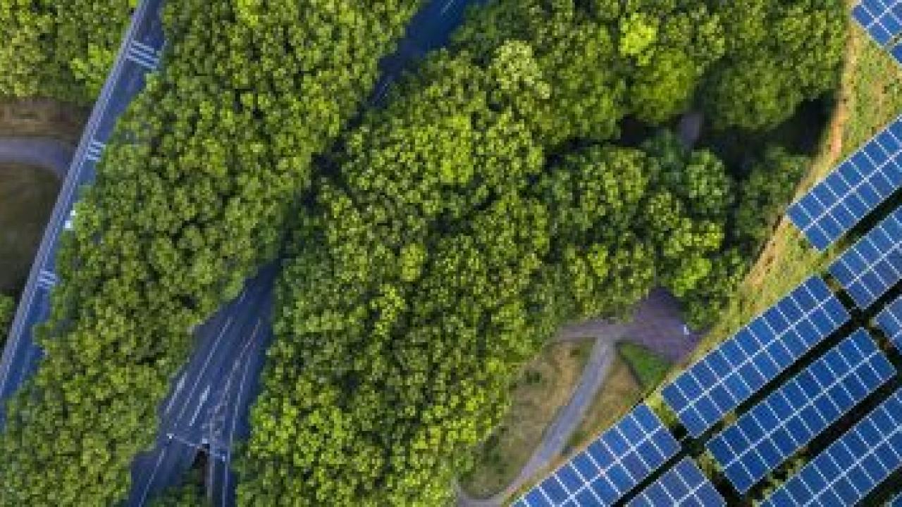 Solar panels from a bird's eye view