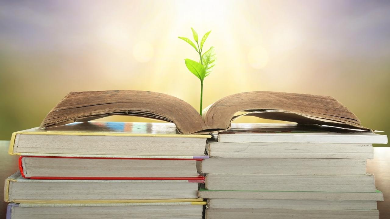 artistic representation of a plant growing from an open book