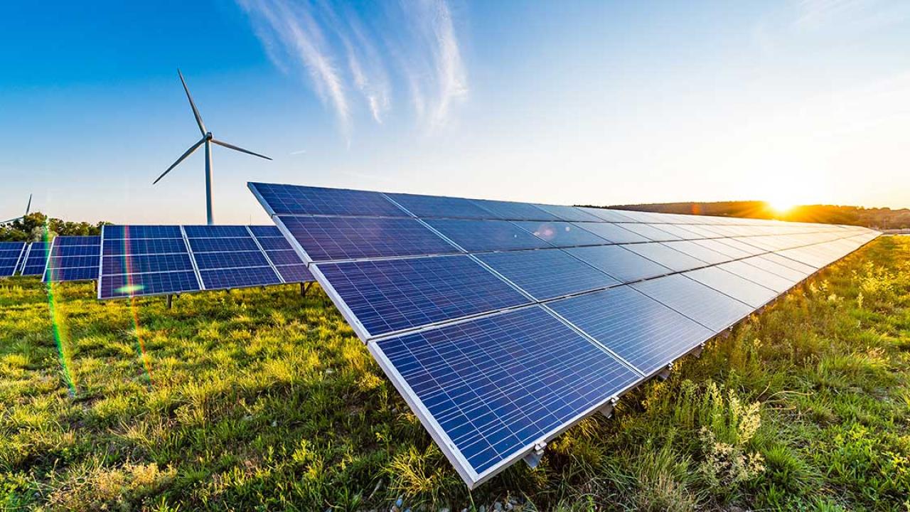 field of solar panels