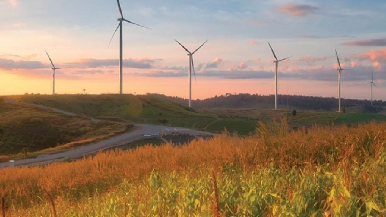 wind turbines in skyline 