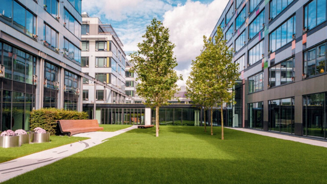 Green space shown in a courtyard between two buildings.