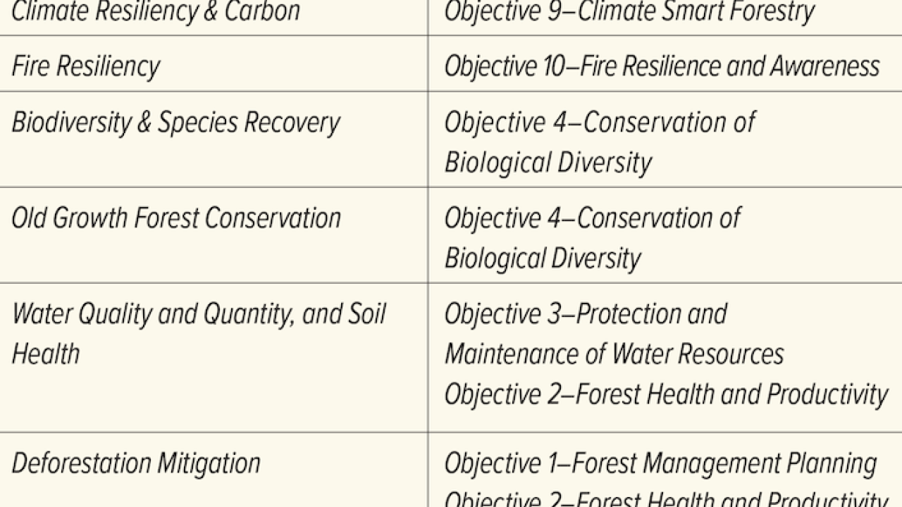 ENVIRONMENTAL - 2022 SFI Forest Management Standard