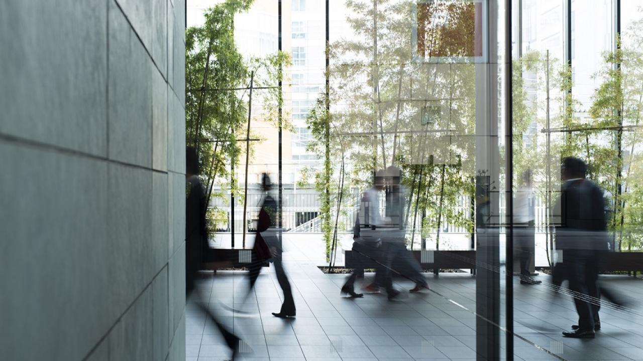 Busy Office Building