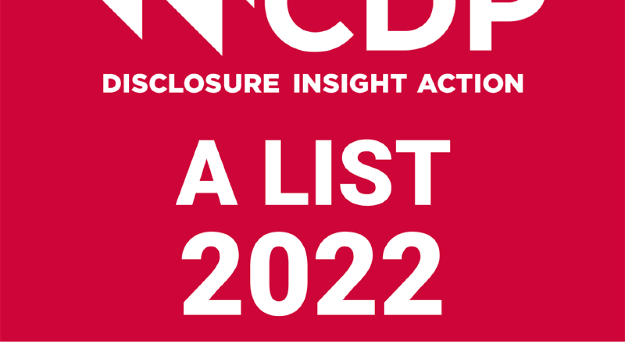 CDP DISCLOSURE INSIGHT ACTION A LIST 2022 FORESTS