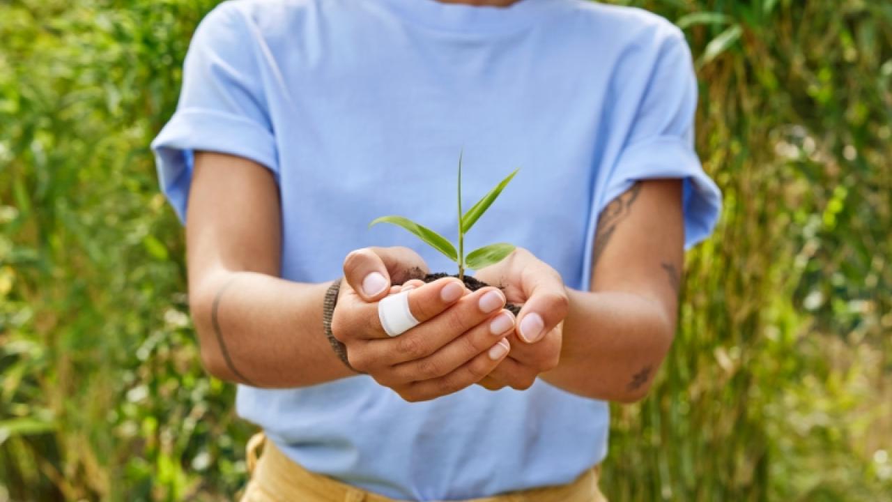 Young woman holding a small plant in her hands.