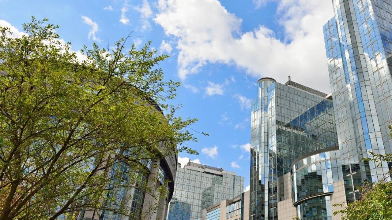 European Sustainability Reporting Standards 
