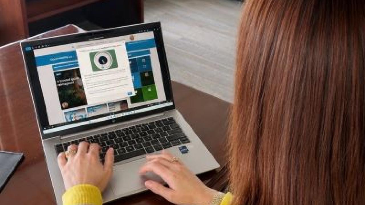 Person seated at a laptop.