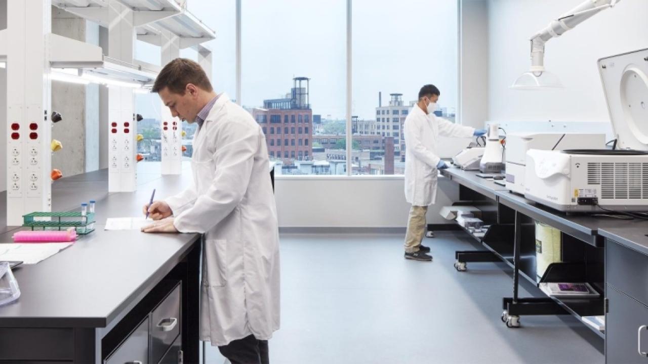 working laboratory