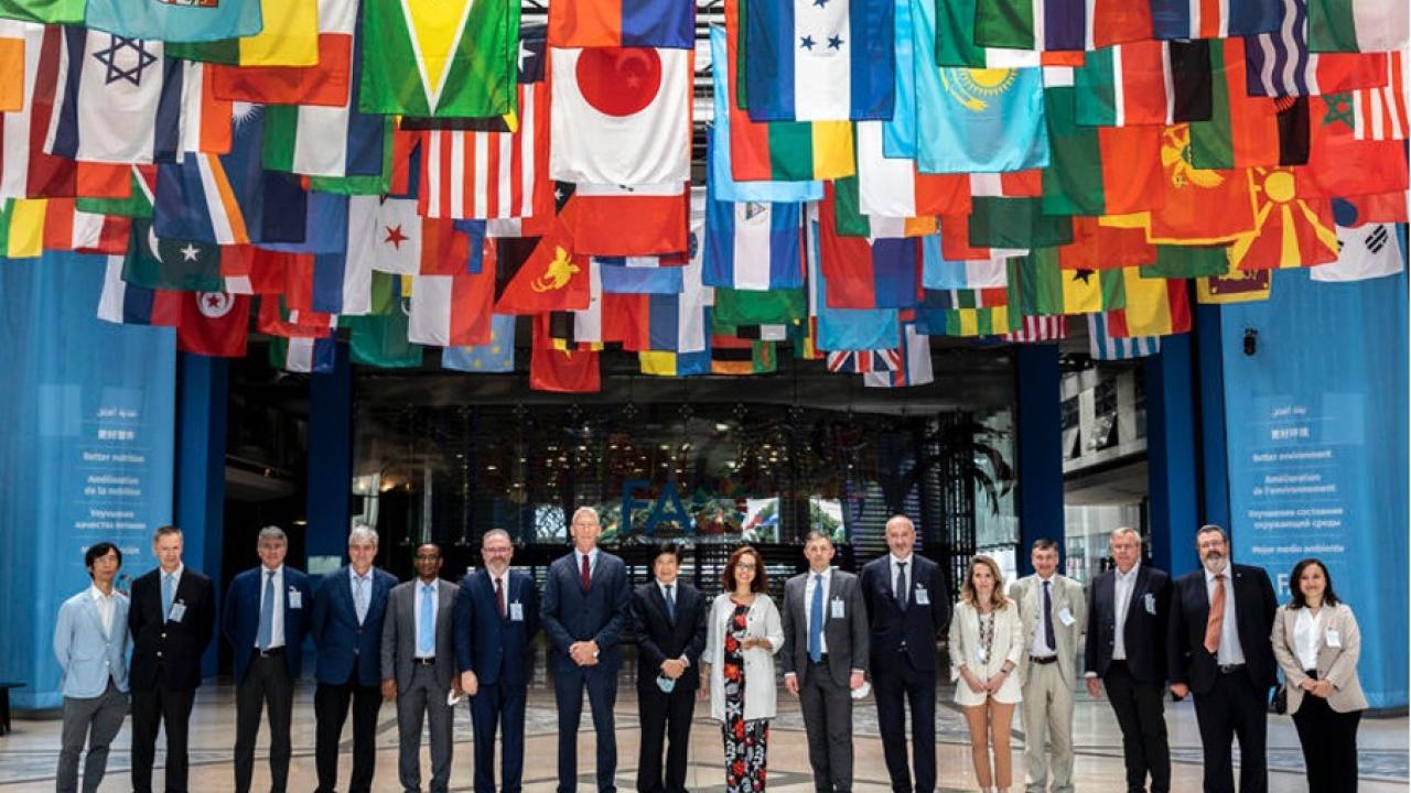 Group of people standing under a large display of many flags