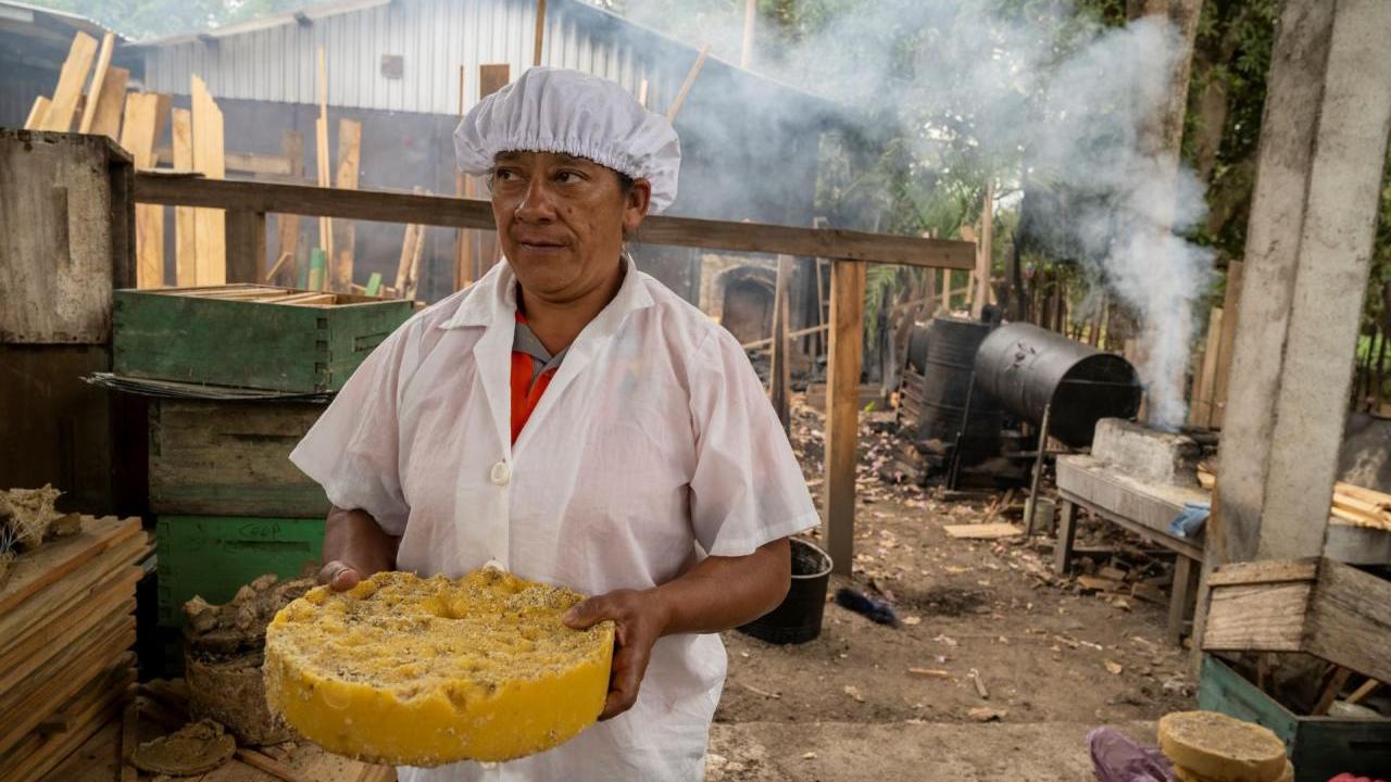 In the Fronteras de Oriente Cooperative in Honduras, Santos Argentina Rodriguez makes wax. 