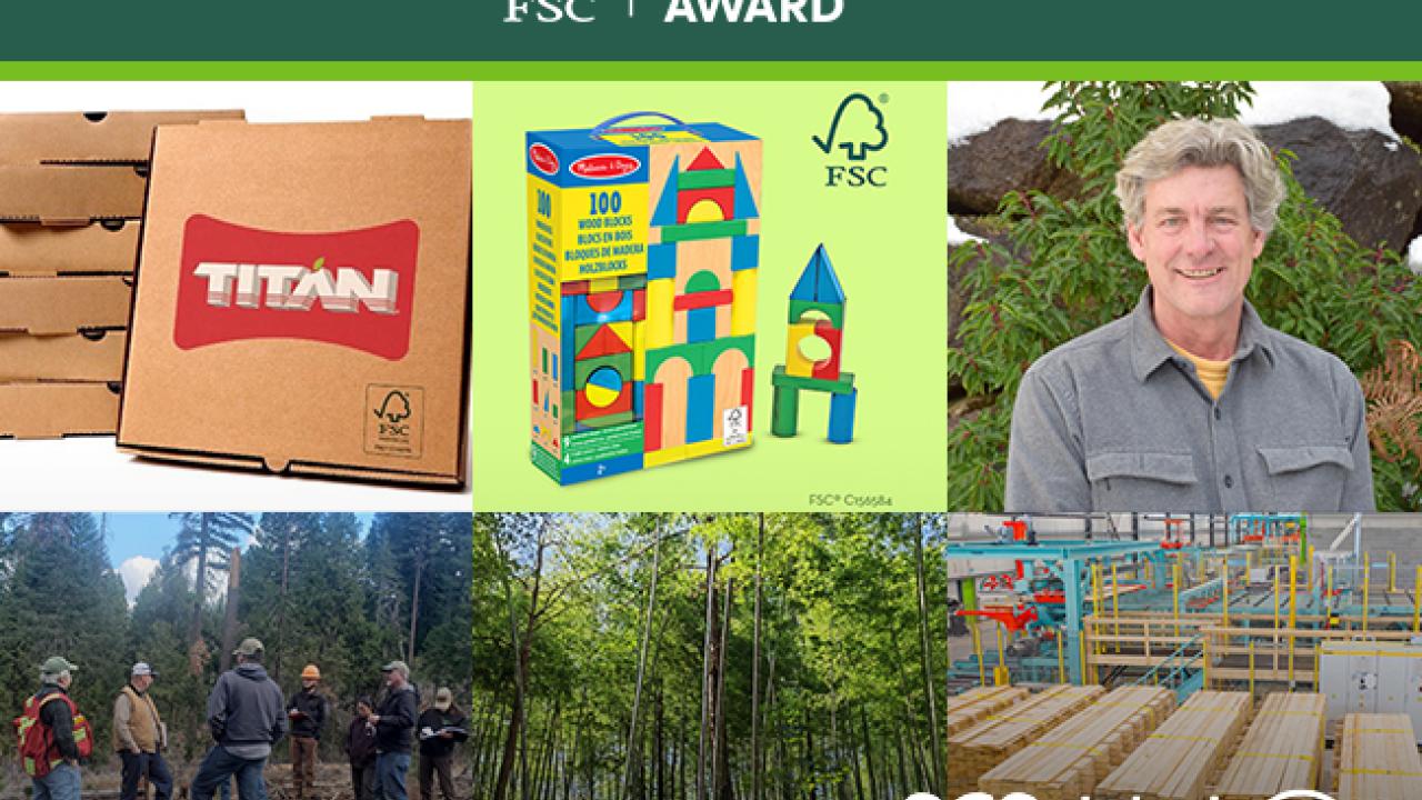 Bio Pappel, Element5, F&W Forestry, HP Inc., Melissa & Doug and the late Lafcadio Cortesi among winners of 2022 FSC Leadership Awards