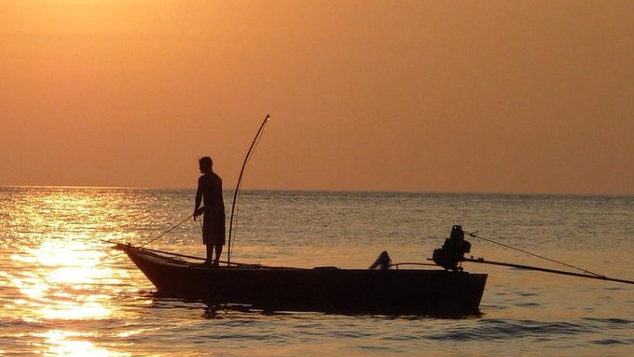 Fishing boat in the sunset