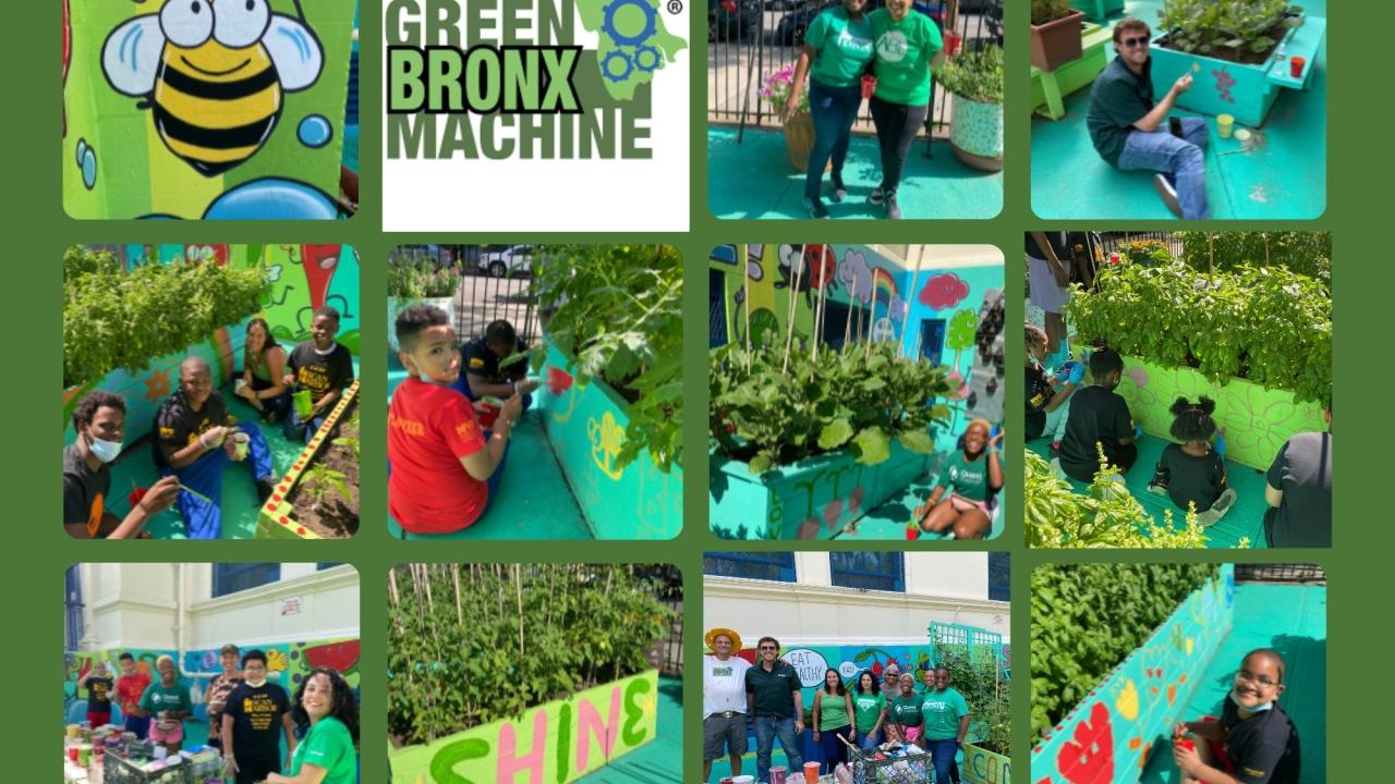 Collage of Quest Diagnostics employees volunteering for a day of service at Green Bronx Machine in New York
