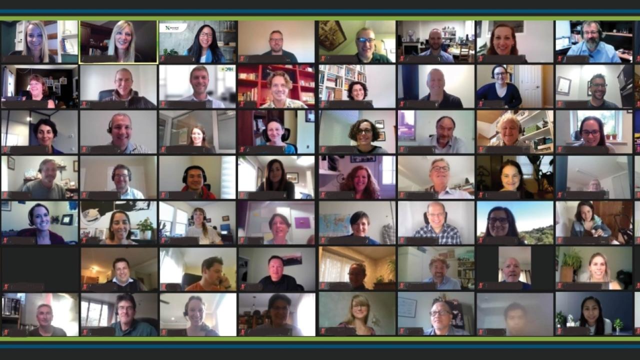 Team meeting video call