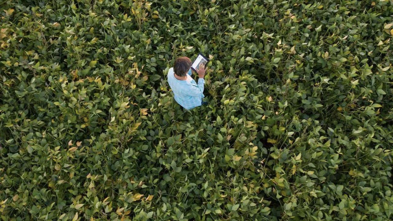 Innovative U.S. Soybean Farming and Agriculture Technology