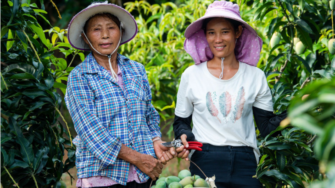 two farmers standing in a group of tall greenery, holding a basket of produce
