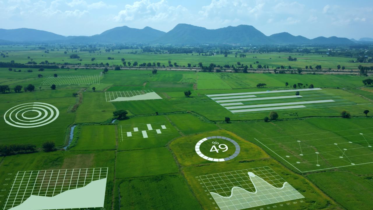 Illustration of MRV (Measurement, Reporting and Verification), a system used to monitor, document and confirm the outcomes of Ag practices.