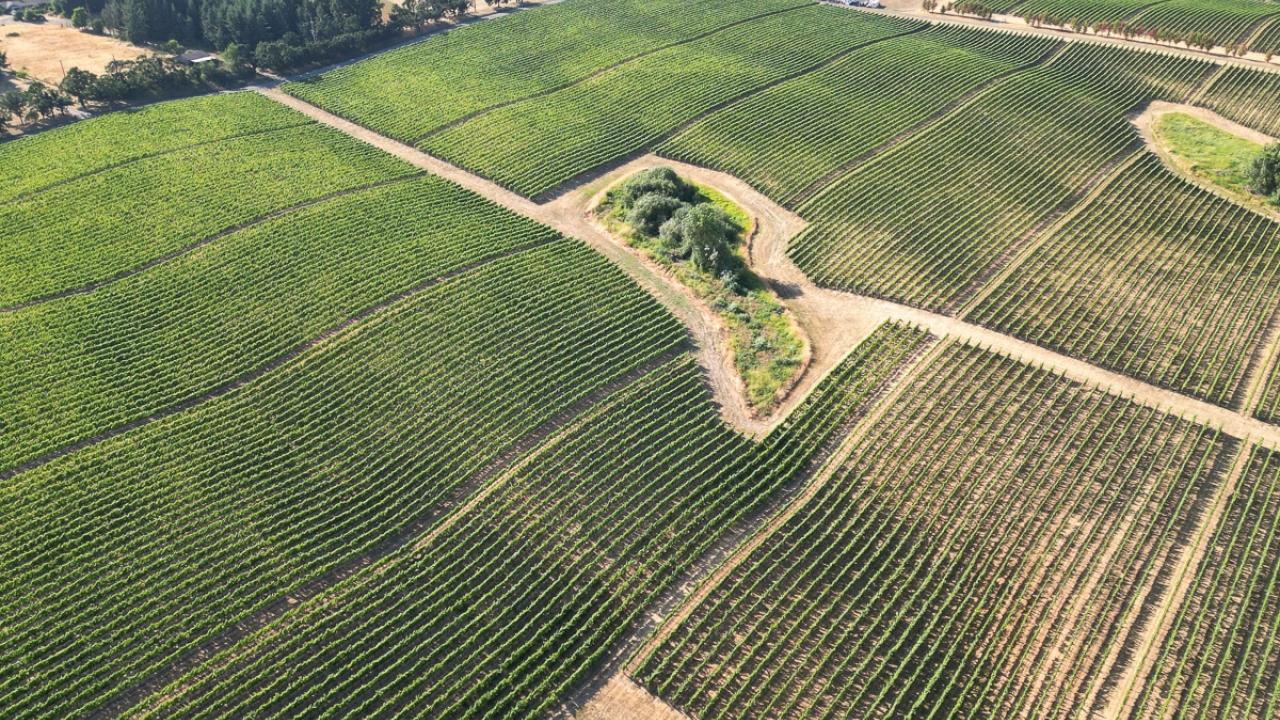 Photo courtesy of Farmland LP