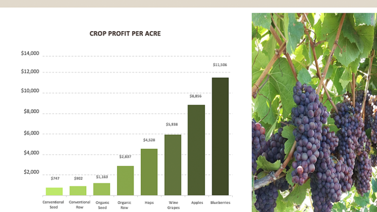 Graph: crops increase income