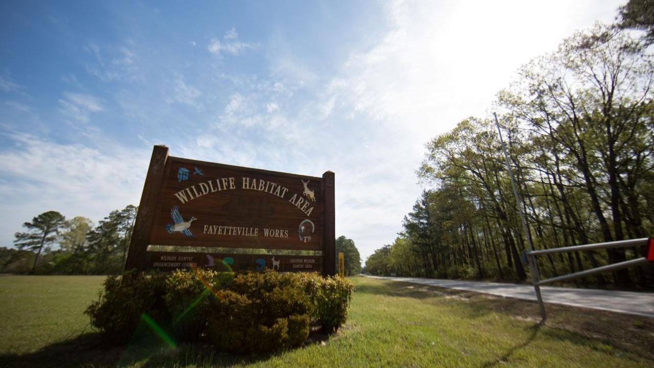 "Wildlife Habitat Area" sign at a gate on a long road.
